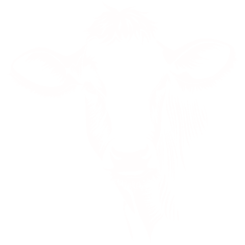 Stilisierter Anschnitt eines Kuhkopfes in weiß auf transparentem Hintergrund.