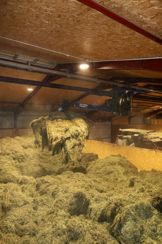 Automatisiertes Greifsystem bewegt lose Heuballen in moderner Lagerhalle.