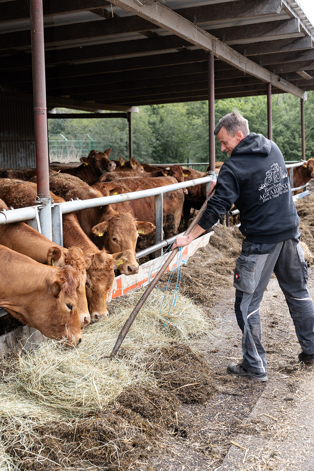 <a href="index.php/member/">Unsere Kühe</a>