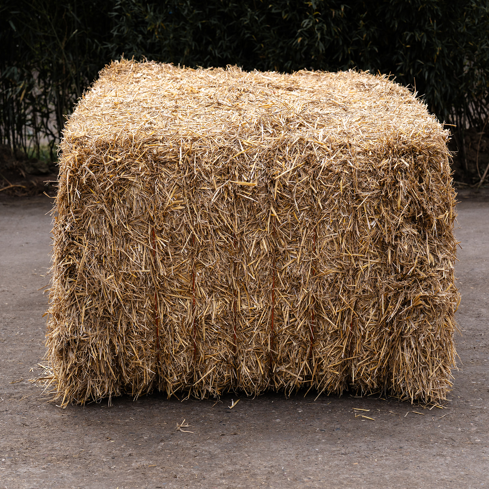Das Foto zeigt einen getrockneten Weizenstroh-Quarder auf einem natürlichen Untergrund.