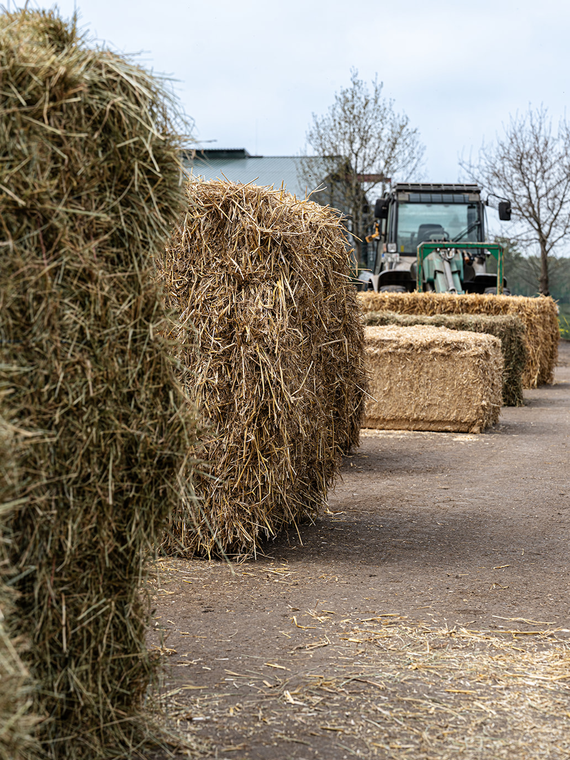 Das Foto zeigt mehrere Heuballen aufgereiht mit einer Landwirtschaftsmaschine im Hintergrund.