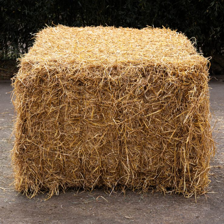 Das Foto zeigt einen getrockneten Gerstenstroh-Quarder auf einem natürlichen Untergrund.