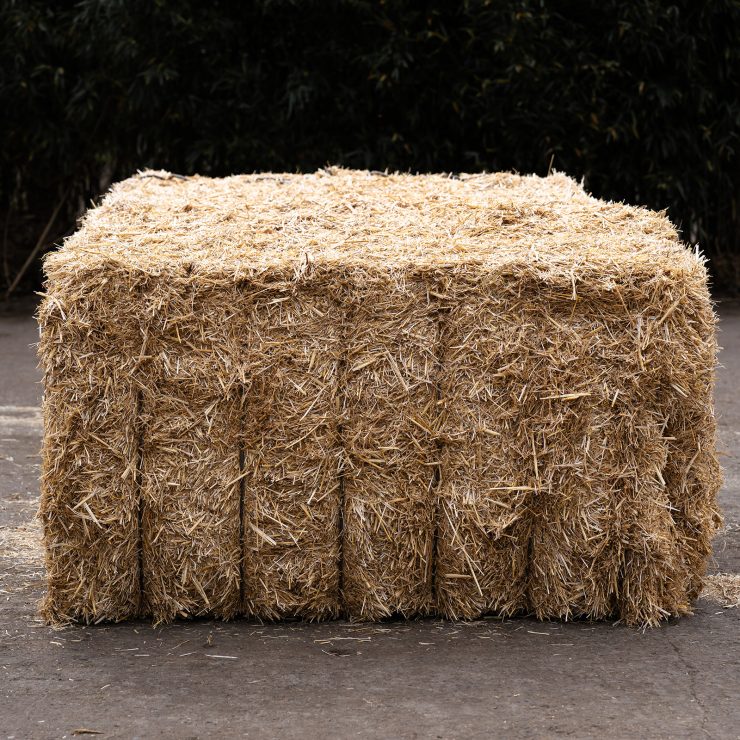 Das Foto zeigt einen getrockneten Strohmehl-Quarder auf einem natürlichen Untergrund.
